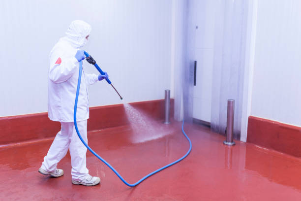 Best Spring Cleaning  in San Rafael, CA
